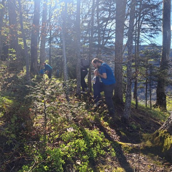 Eine Gruppe von Menschen wandert auf einem Pfad in einem Wald. Sie gehen auf einem schmalen Weg, der von hohen Bäumen umgeben ist. Einige von ihnen tragen Rucksäcke.