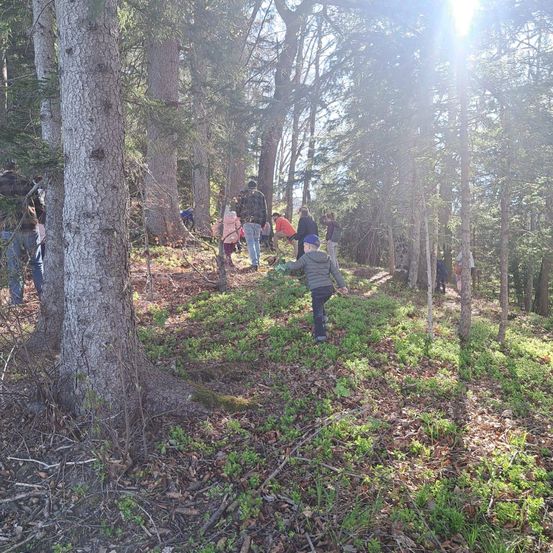 Eine Gruppe von Menschen wandert durch einen dichten Wald, einige tragen Mützen und einige halten Pflanzen. Das Sonnenlicht filtert durch die Bäume.