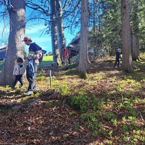 Eine Gruppe von Menschen, die durch einen Wald mit hohen Bäumen und einem grünen Grasfeld im Hintergrund läuft.