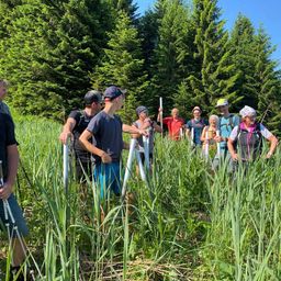 Eine Gruppe von Menschen wandert in einem Grasfeld mit hohen Bäumen im Hintergrund. Einige halten Stöcke und tragen Hüte. Sie scheinen die Gegend zu erkunden.