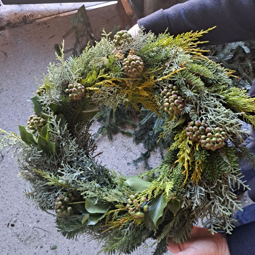 Ein Kranz aus grünen Blättern und gelben Kiefernzapfen wird von einer Person gehalten. Er steht auf einer Betonfläche.
