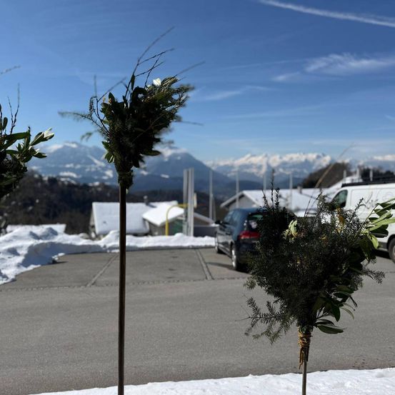 Ein Parkplatz mit zwei Pflanzen im Vordergrund und Schnee. Im Hintergrund ist ein Auto geparkt, und Berge sind unter einem klaren blauen Himmel sichtbar.