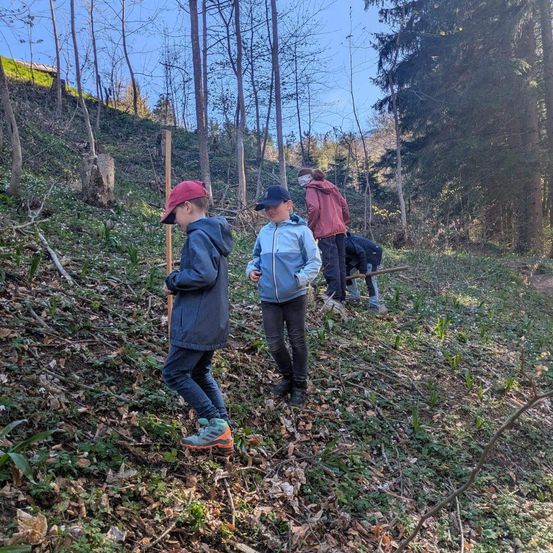 Vier Kinder klettern in einem Wald den Hügel hinauf. Zwei von ihnen halten Stöcke, während die anderen nach unten schauen. Der Boden ist mit Blättern bedeckt.