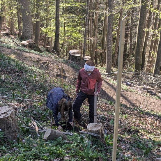 Zwei Personen arbeiten auf einem Waldpfad, einer hält eine Axt, der andere beugt sich zum Graben. Hohe Bäume umgeben sie.