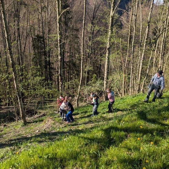 Fünf Kinder und zwei Erwachsene wandern einen grasigen Hang in einem Wald hinauf. Die Kinder tragen Gesichtsmasken und halten Stöcke. Die Erwachsenen laufen hinter ihnen.