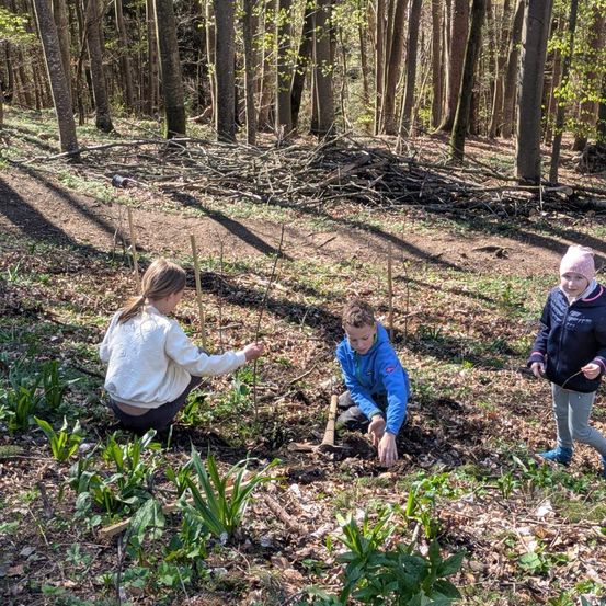 Drei Kinder pflanzen Bäume in einem Wald. Eines der Mädchen hockt sich, um einen Sämling zu pflanzen, während zwei Jungen stehen, einer hält einen Stock. Der Wald ist voller Bäume und verstreuter Blätter.