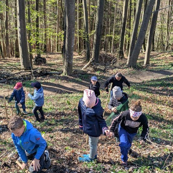 Kinder und Erwachsene sind in einem Wald und sammeln Stöcke und Blätter vom Boden auf. Einige tragen Mützen, andere Handschuhe. Sie tragen alle Jacken.