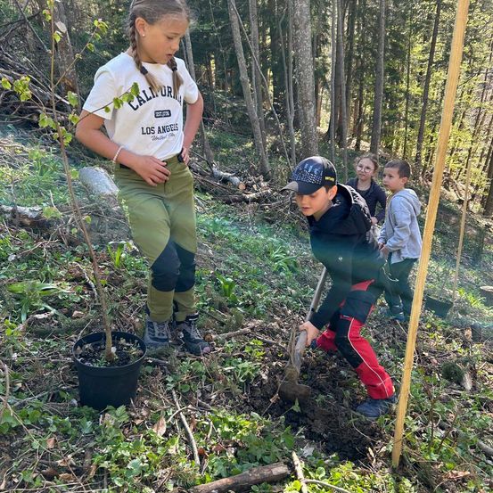Ein Junge pflanzt einen Baum in einem Wald mit einer Schaufel. In der Nähe hält ein Mädchen eine Topfpflanze, und zwei Kinder beobachten. Bäume und Grün umgeben sie.
