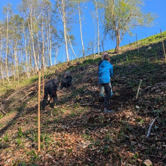 Drei Personen arbeiten an einem Hang, wobei eine gräbt und andere beobachten. Das Gebiet ist von Bäumen umgeben, und der Boden ist mit Blättern und Gras bedeckt.