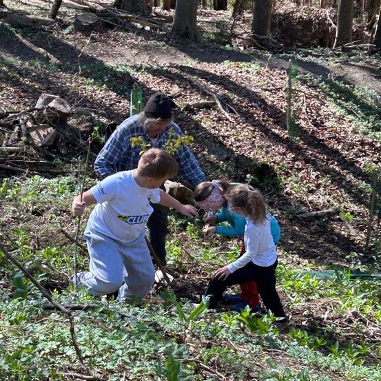 Ein Mann und drei Kinder pflanzen einen Baum in einem Wald. Der Mann hält einen Stock, während die Kinder eine kleine Pflanze halten. Sie befinden sich in einem Wald mit einem schlammigen Pfad.