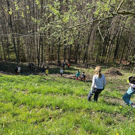 Eine Gruppe von Kindern und Erwachsenen geht in einem Wald. Einige beugen sich nach unten und heben etwas auf. Es gibt Bäume und Gras um sie herum.