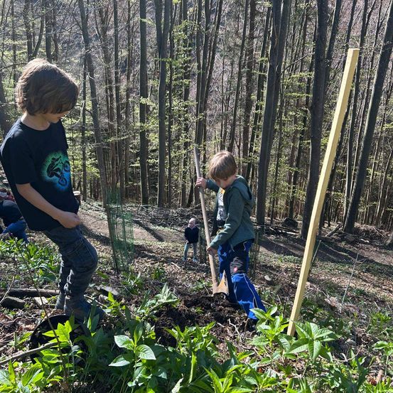 Zwei junge Jungen buddeln in der Erde in einem Wald. Ein Junge benutzt eine Schaufel, der andere steht in der Nähe. Hinter ihnen sitzt eine Person auf dem Boden.