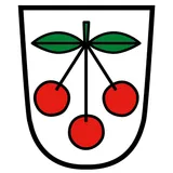 Fraxern-Logo
