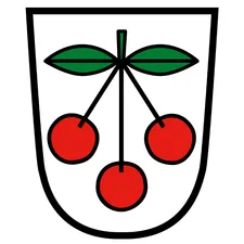 Fraxern-Logo