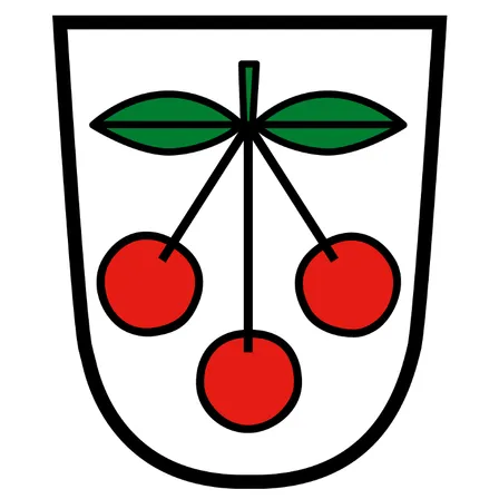 Food, Fruit, Plant, Produce, Cherry