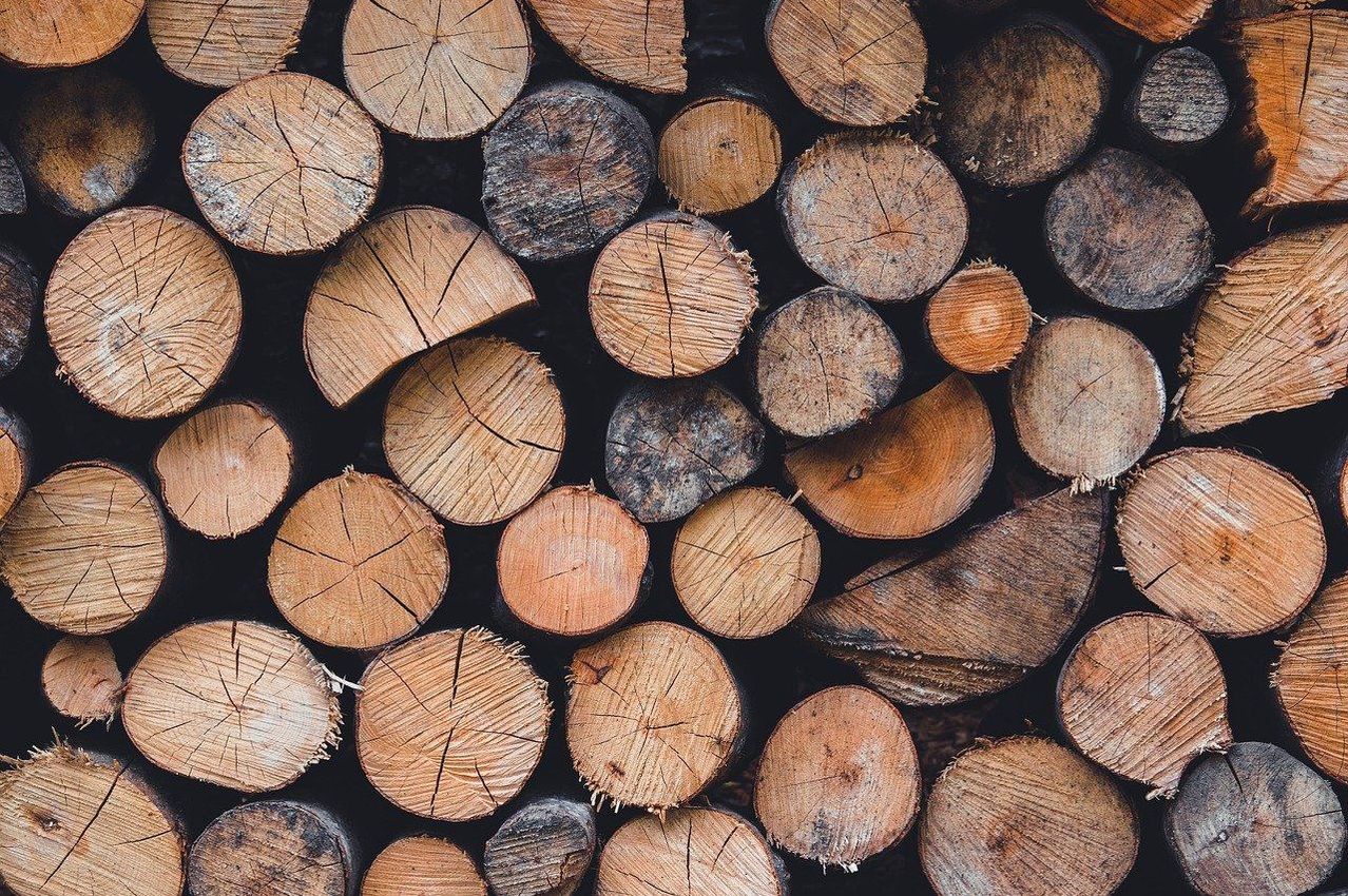 Ein Haufen Holzstämme in verschiedenen Größen und Formen geschnitten. Die Stämme sind in einem gestapelten Muster angeordnet und zeigen die natürliche Textur und Maserung des Holzes.