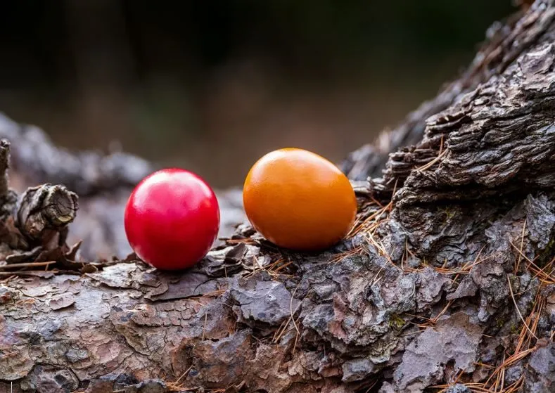 Zwei Kugeln, eine rot und eine orange, liegen auf einem Baumast mit rauher Oberfläche.