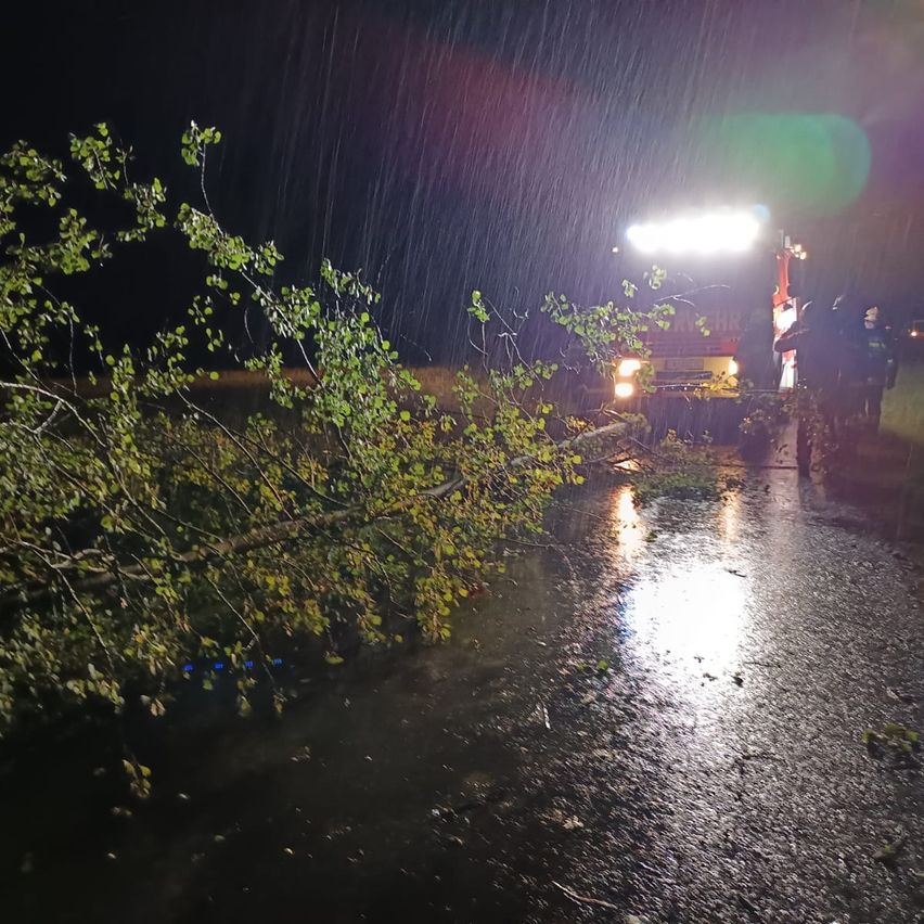 A fire truck with headlights on in the rain, removing a fallen tree from the road.