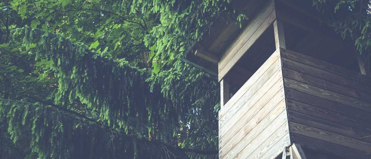 Bild enthält, Nature, Outdoors, Rainforest, Tree, Vegetation, Interior Design, Housing, Jungle, Cabin, House