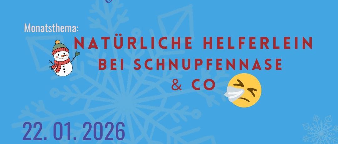 Blaues Plakat für 'Babynetzwerk mit Angelika'. Thema: Natürliche Helferlein bei Schnupfennase & Co. Datum: 22.01.2026. Zeit: 8:45-10:15 Uhr. Ort: Rathaus Kotschach. Freier Eintritt, freiwillige Spende. Kontakt: 0650 7155 535. Webseite: www.ekiz-hermagor.at.