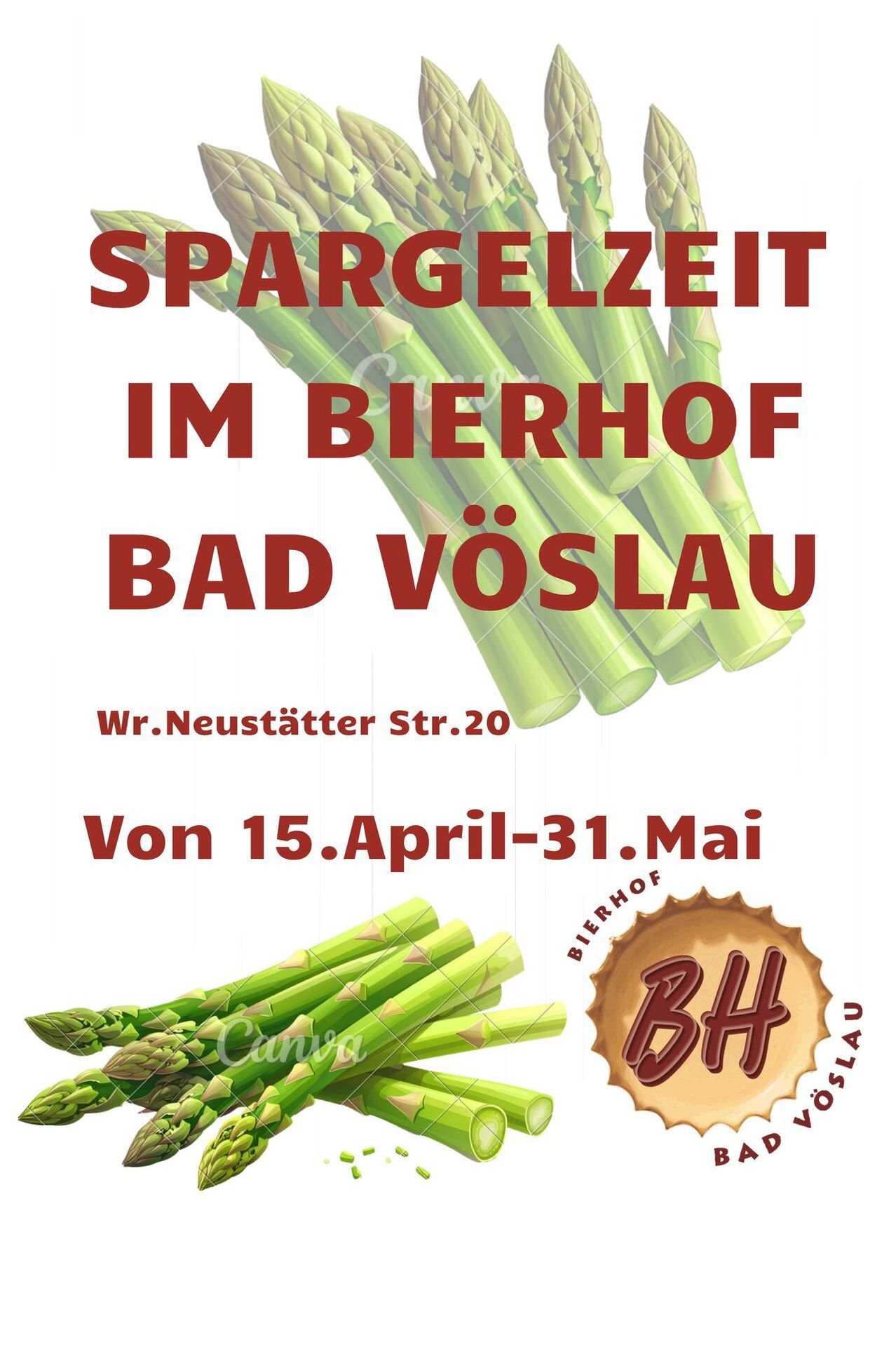 Plakat für die Spargelsaison im Bierhof Bad Vöslau, vom 15. April bis 31. Mai, gelegen in Wr. Neustädter Str. 20. Zeigt Spargel und ein Bierdeckel-Logo.