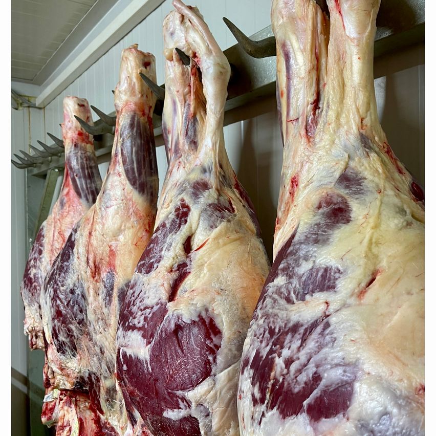 Mehrere rohe, frische Fleischstücke hängen an Haken in einer Fleischverarbeitungsanlage und zeigen verschiedene Schnitte und Größen.