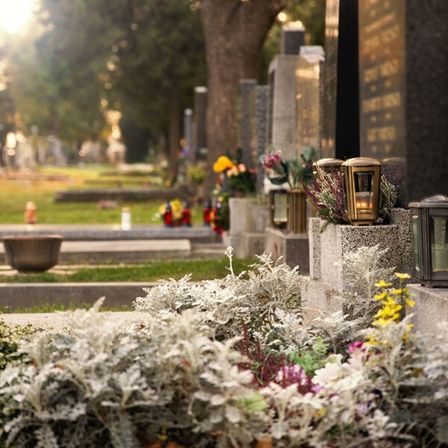 Ein Friedhof mit verschiedenen Grabsteinen, einige mit Blumen und Kerzen geschmückt, vor dem Hintergrund von Grünflächen und Bäumen.