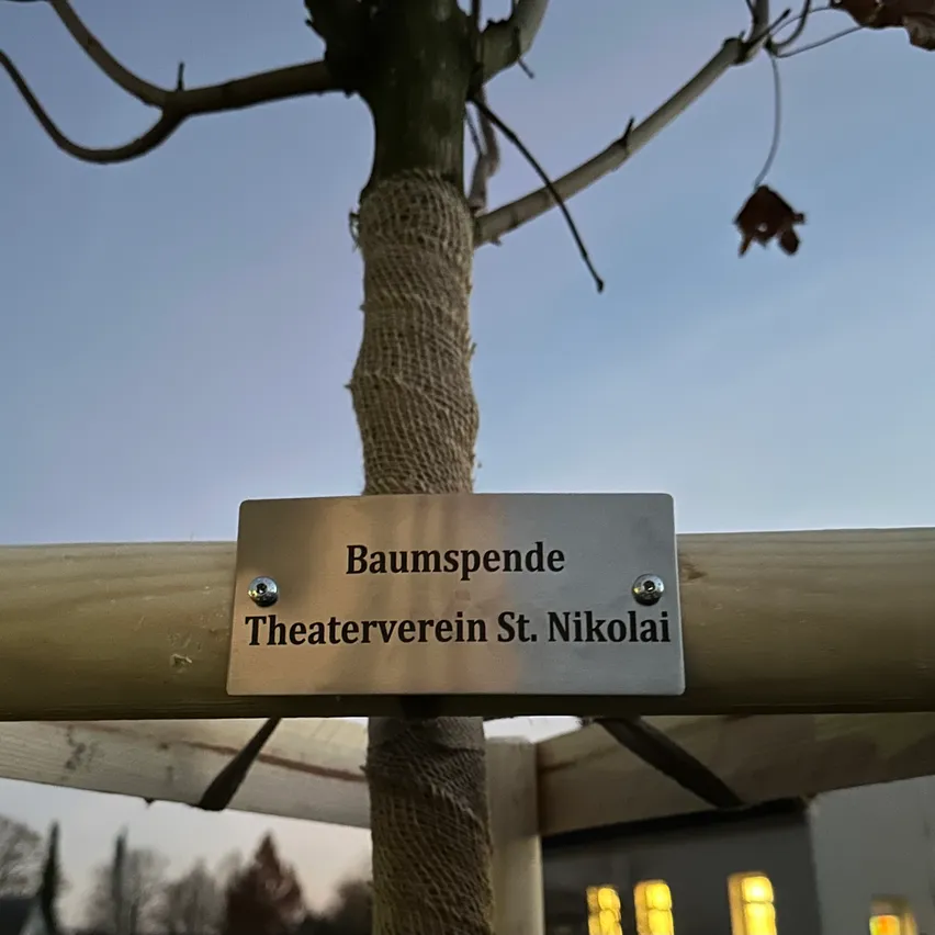 Eine Metallplakette mit 'Baumspende Theaterverein St. Nikolai' ist an einem Baumstamm befestigt, der mit einem Holzstab und Seil befestigt ist. Der Himmel ist klar und es befindet sich ein Gebäude mit Fenstern im Hintergrund.