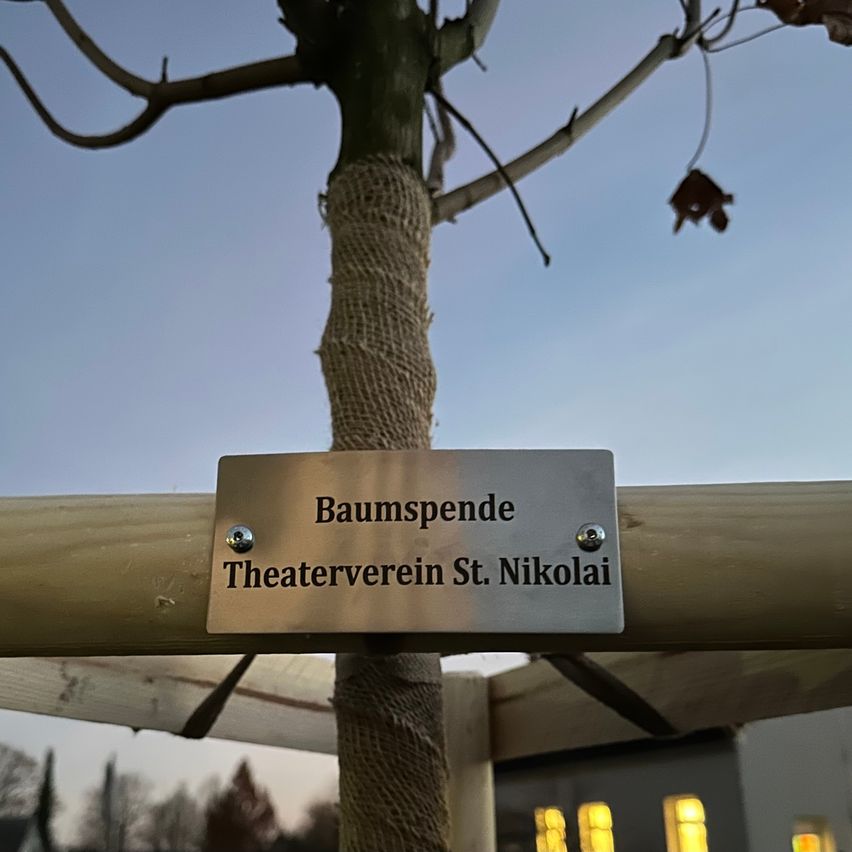 Eine Metallplakette mit 'Baumspende Theaterverein St. Nikolai' ist an einem Baumstamm befestigt, der mit einem Holzstab und Seil befestigt ist. Der Himmel ist klar und es befindet sich ein Gebäude mit Fenstern im Hintergrund.
