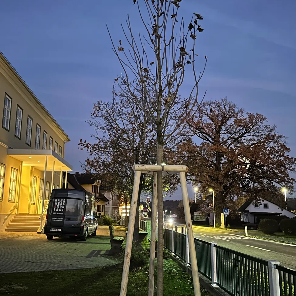 Ein Baum mit einer hölzernen Stütze steht vor einem Gebäude. Ein Van ist auf der Seite geparkt. Der Himmel ist blau mit einigen Wolken. Im Hintergrund befinden sich Häuser und Bäume.