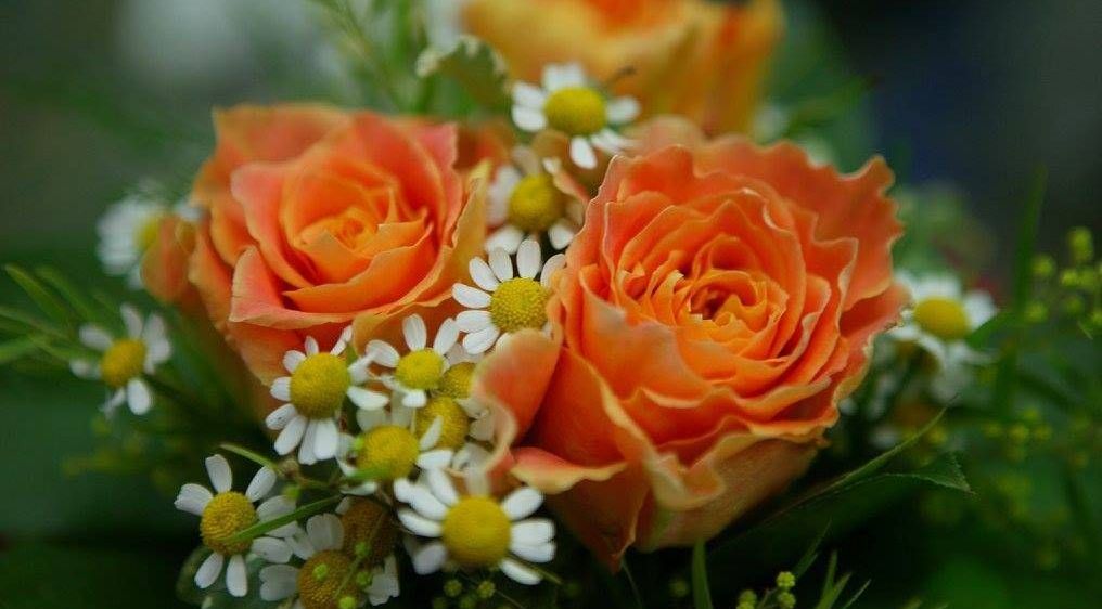 v1_migrated_image_27937700