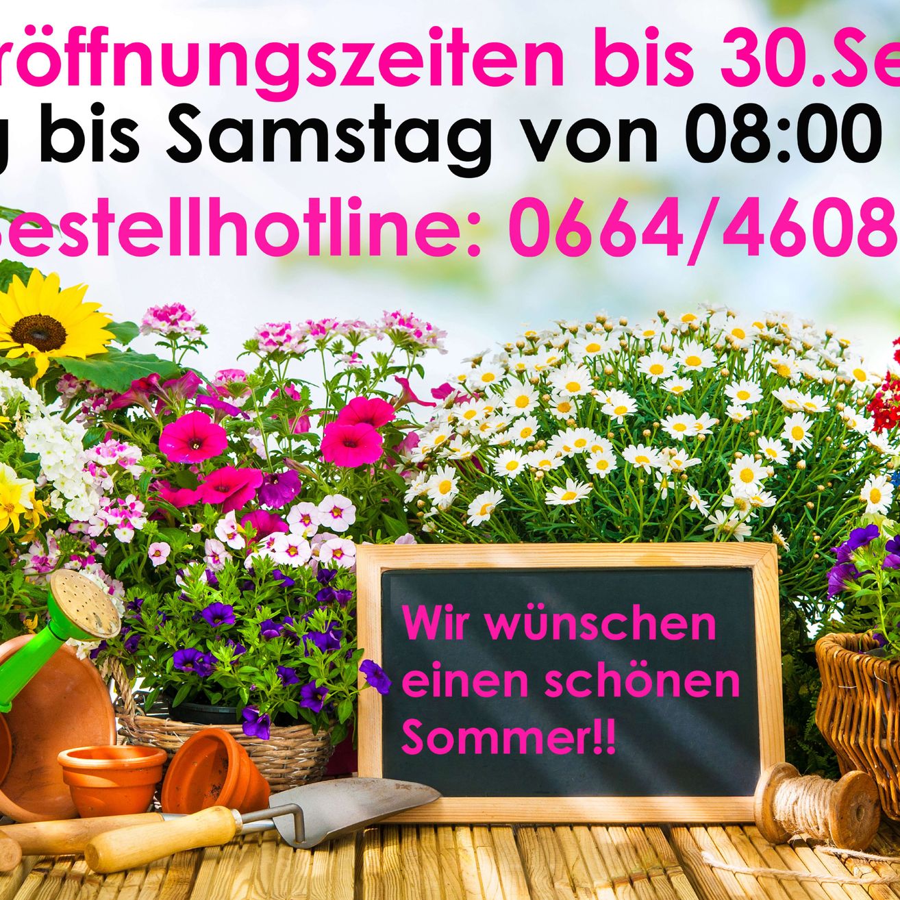 Eine Gartenszene mit verschiedenen Blumen, einem Kreidetafel, auf dem steht 'Wir wünschen einen schönen Sommer!!', Gartenwerkzeugen und einem Korb mit Blumen. Das Bild hat einen unscharfen Hintergrund und Text auf Deutsch.