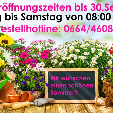 Eine Gartenszene mit verschiedenen Blumen, einem Kreidetafel, auf dem steht 'Wir wünschen einen schönen Sommer!!', Gartenwerkzeugen und einem Korb mit Blumen. Das Bild hat einen unscharfen Hintergrund und Text auf Deutsch.