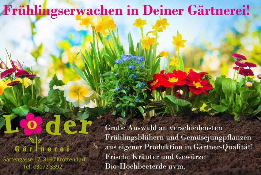 Bild enthält, Garden, Nature, Outdoors, Gardening, Flower, Potted Plant, Advertisement, Herbal, Poster, Petal