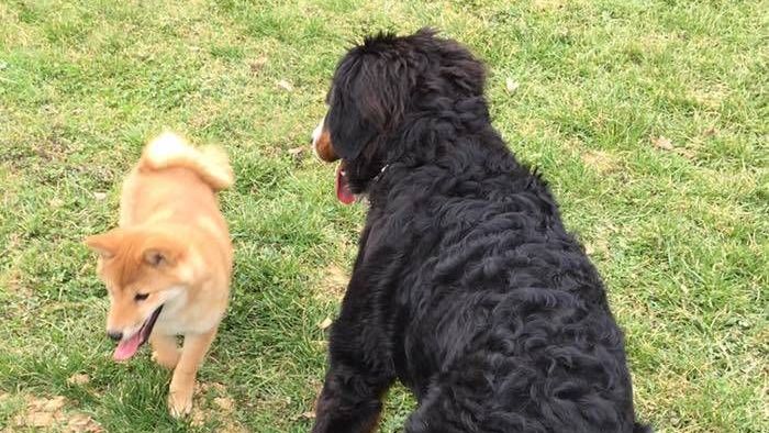 v1_migrated_image_11248495