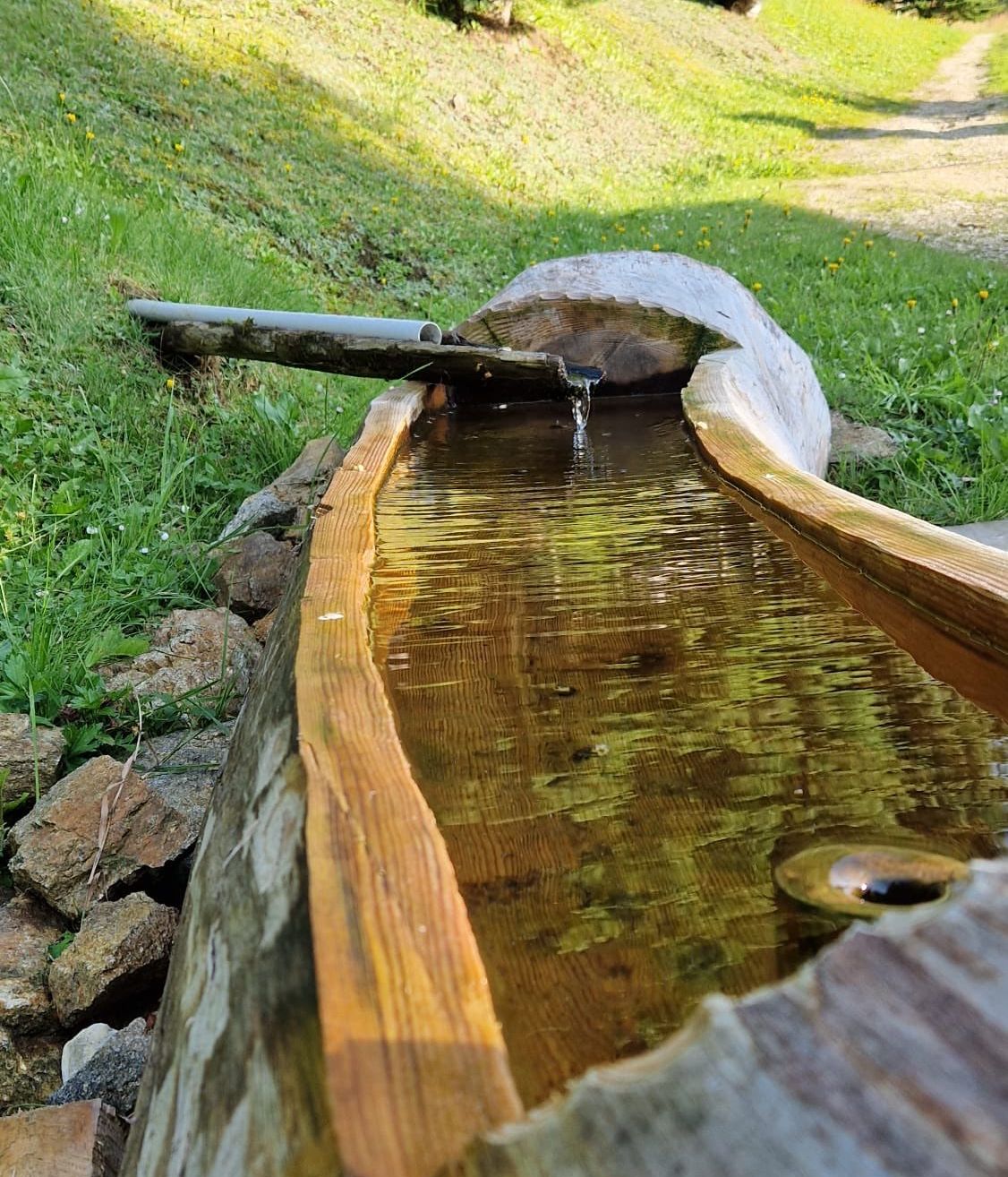 Ein rustikales hölzerne Wasserbecken auf einer Grasfläche mit Steinen, gefüllt mit klarem Wasser, mit einem Rohr, das dazuführt.