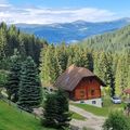 Ein Chalet in den Bergen mit klarem blauem Himmel, umgeben von hohen Kiefern. Ein Auto ist vor dem Haus geparkt.
