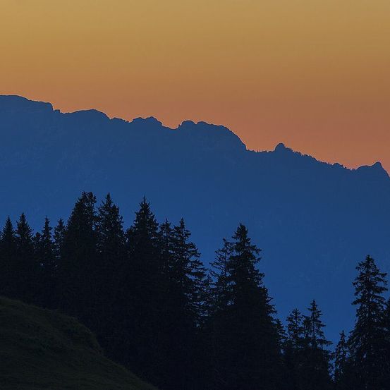Eine Silhouette von Bergen mit einem Sonnenuntergangshimmel, der von Orange zu Blau übergeht, mit einem dichten Wald im Vordergrund.