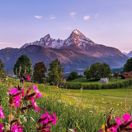 Ein landschaftlicher Ausblick auf eine Berglandschaft mit schneebedecktem Gipfel, umgeben von üppigem Grün, Bäumen und Wildblumen, mit einem Haus im Hintergrund.
