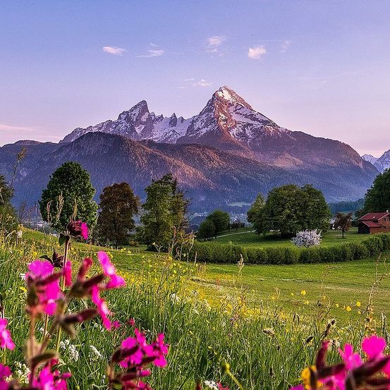 Ein landschaftlicher Ausblick auf eine Berglandschaft mit schneebedecktem Gipfel, umgeben von üppigem Grün, Bäumen und Wildblumen, mit einem Haus im Hintergrund.
