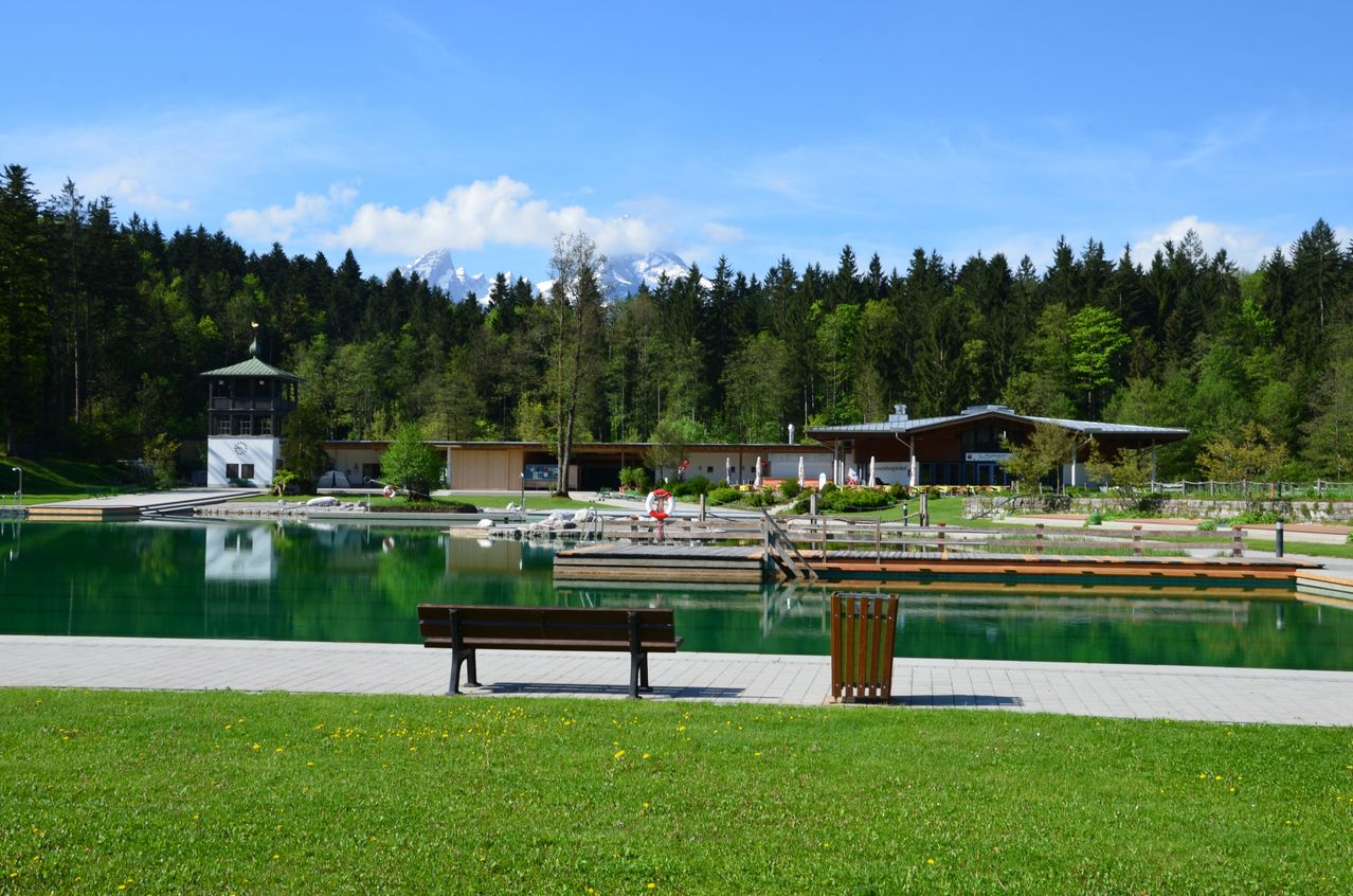 Eine friedliche Parkszene mit einer Bank am See, einem kleinen Holzmülleimer und einem Gebäude mit Bergen im Hintergrund.