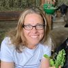 Eine Frau füttert ein Schaf mit etwas Grünzeug, während sie auf dem Boden in einer Scheune mit Heu sitzt und mehrere Schafe um sie herum sind.