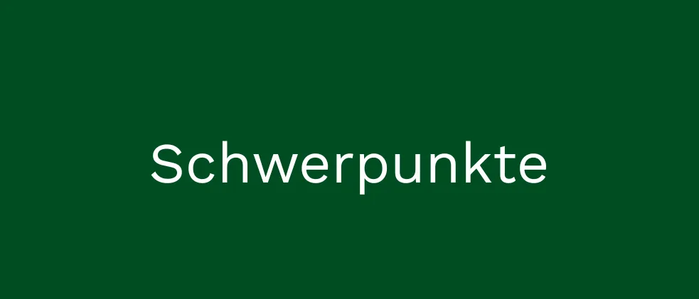 Das Bild zeigt einen dunkelgrünen Hintergrund mit dem Wort 'Schwerpunkte' in weißem Text. Der Text ist zentriert und verwendet eine fette, serifenlose Schrift. Es gibt keine anderen Objekte oder Texte im Bild.