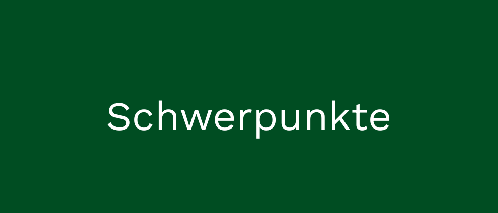 Das Bild zeigt einen dunkelgrünen Hintergrund mit dem Wort 'Schwerpunkte' in weißem Text. Der Text ist zentriert und verwendet eine fette, serifenlose Schrift. Es gibt keine anderen Objekte oder Texte im Bild.