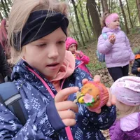 Ein kleines Mädchen im Wald betrachtet einen mit einer Biene verzierten Cupcake. Hinter ihr stehen andere Kinder, einige essen Snacks.