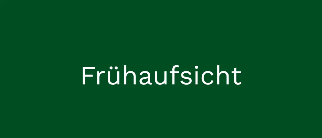 Ein grüner Hintergrund mit dem Wort 'Fruﬁhaufsicht' in weisser Schrift.