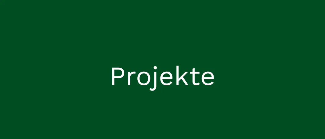 Ein grüner Hintergrund mit dem Wort Projekte in weißer Schrift zentriert.