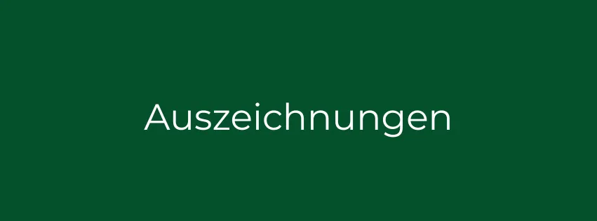 Ein grüner Hintergrund mit weißem Text, der 'Auszeichnungen' besagt.