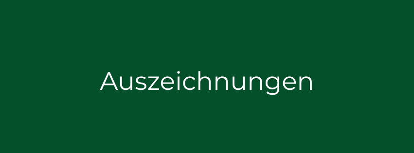 Ein grüner Hintergrund mit weißem Text, der 'Auszeichnungen' besagt.