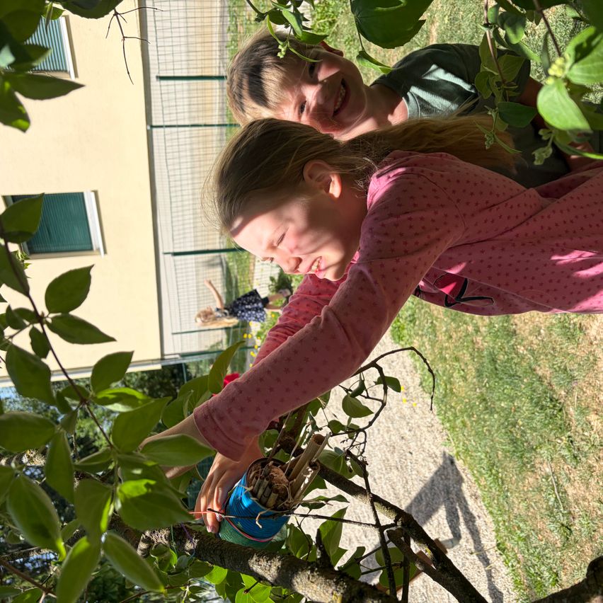 Ein Mädchen in einem rosa Langarmshirt hält einen Behälter mit Stöcken. Hinter ihr lächelt ein Junge. Sie stehen unter einem Baum vor einem Gebäude mit einem Zaun.